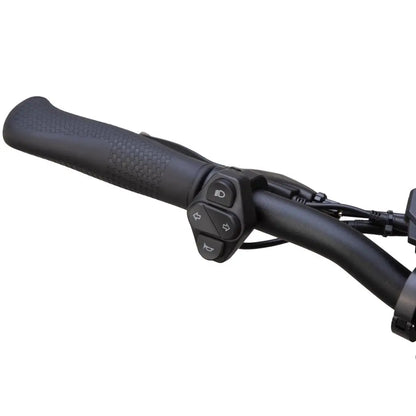 Trotineta Kukirin G2 master